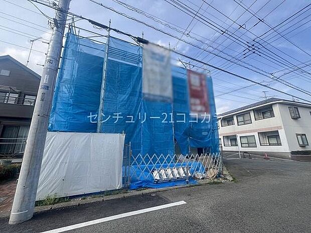 2026年3月30日撮影