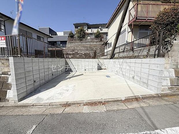 2026年3月5日撮影