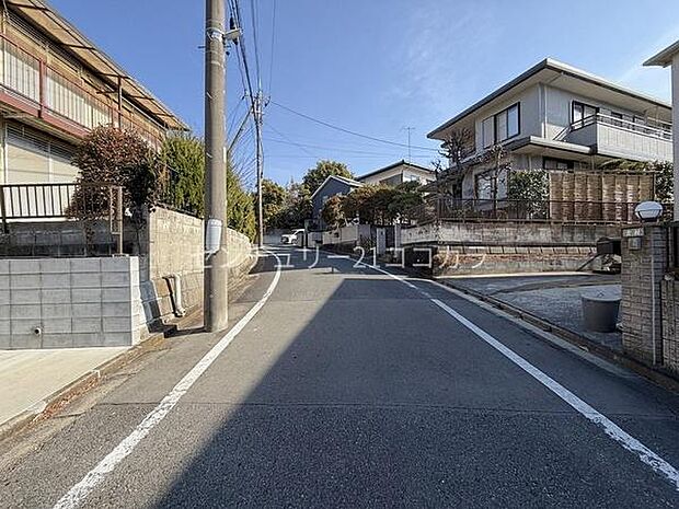 2026年2月6日撮影