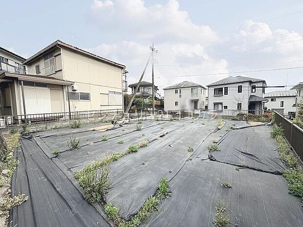 2026年4月9日撮影
