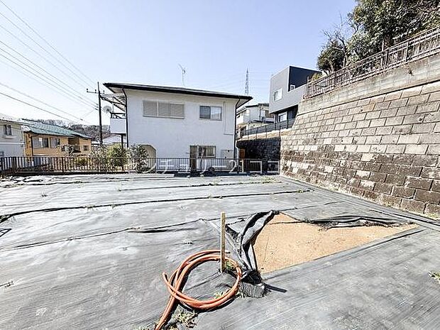 2026年3月5日撮影