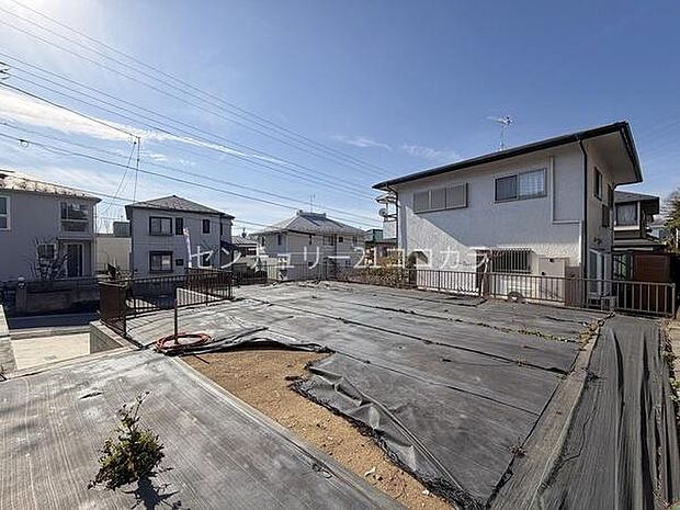 2026年2月6日撮影