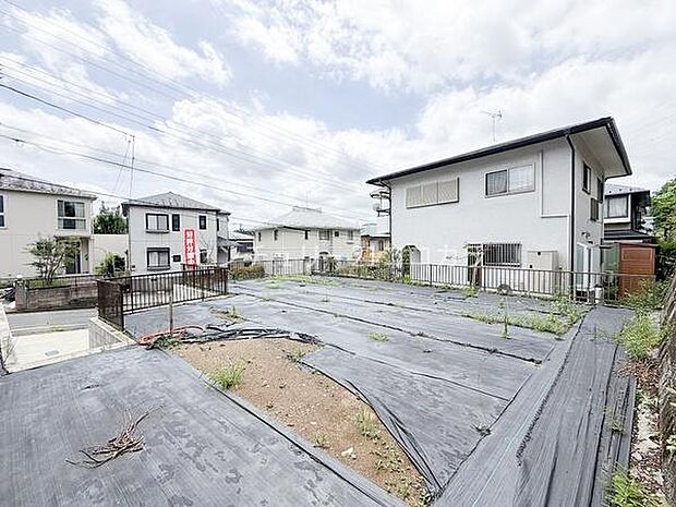 2026年7月27日撮影