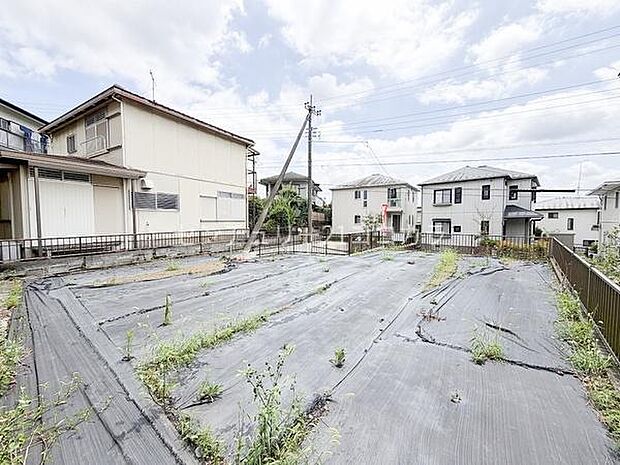 2026年7月27日撮影