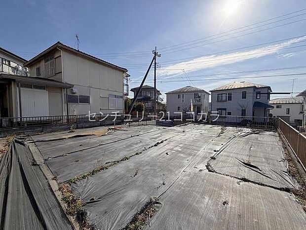 2026年2月6日撮影