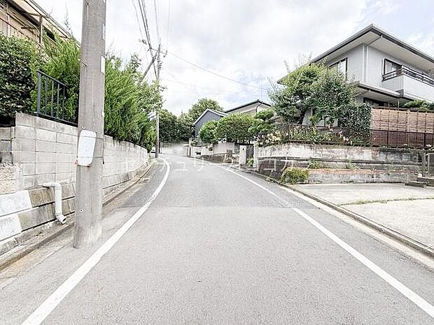 前面道路を含む現地写真