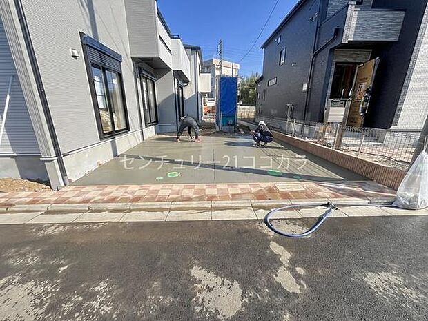 2026年1月16日撮影