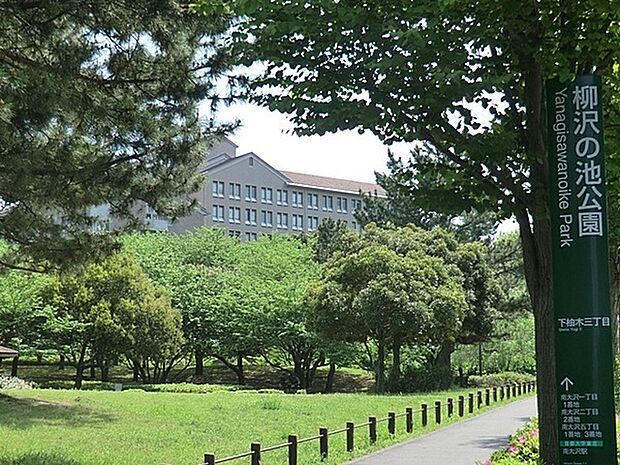 柳沢の池公園まで1334m