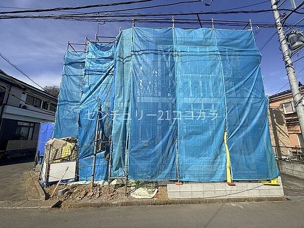 2026年2月6日撮影