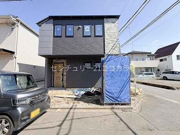 2026年3月12日撮影