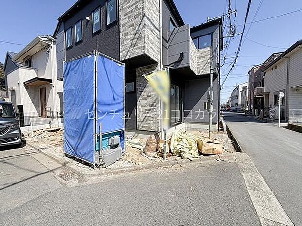 2026年3月12日撮影