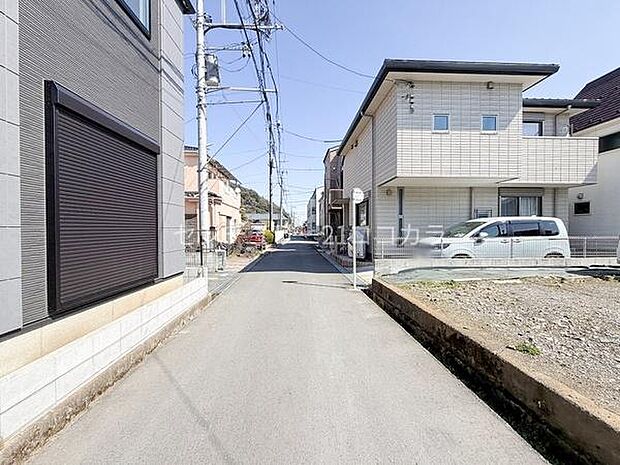 2026年3月12日撮影