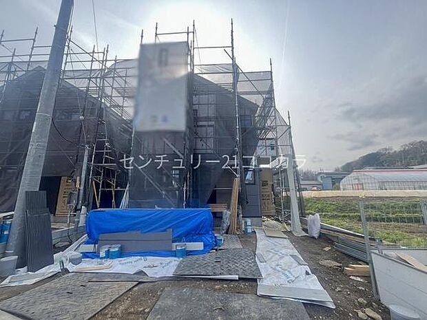 2026年3月30日撮影