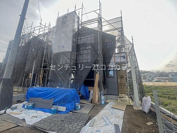 2026年3月30日撮影