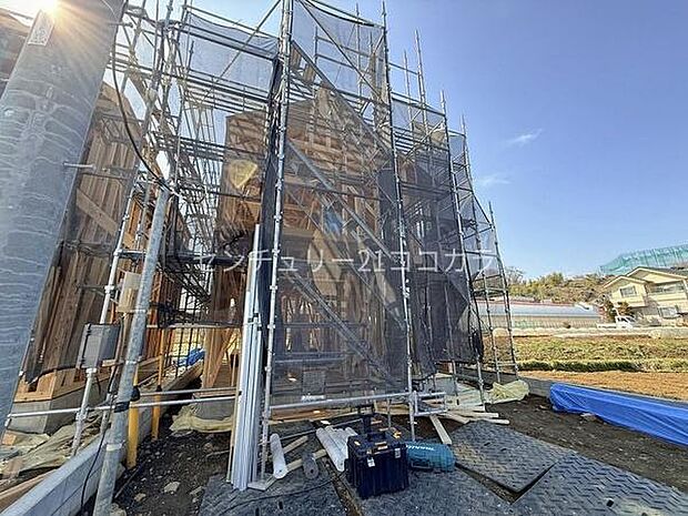 2026年3月9日撮影