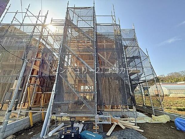 2026年3月9日撮影