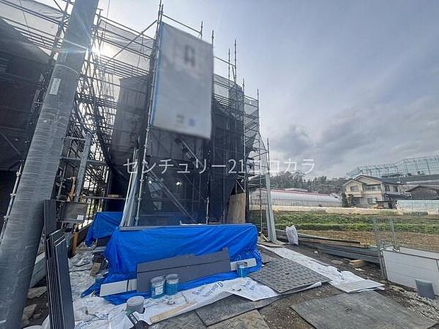 2026年3月30日撮影