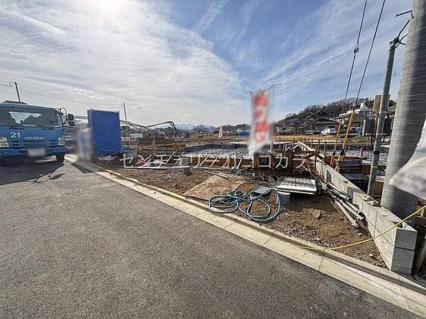 2026年2月5日撮影