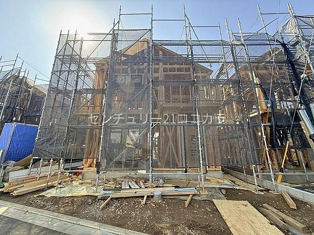 2026年3月9日撮影