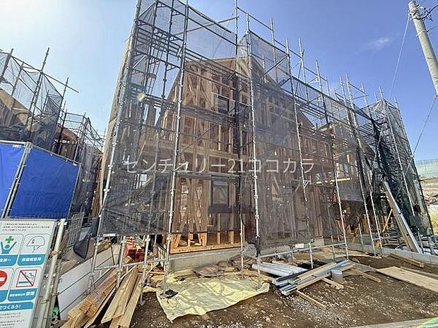 2026年3月9日撮影