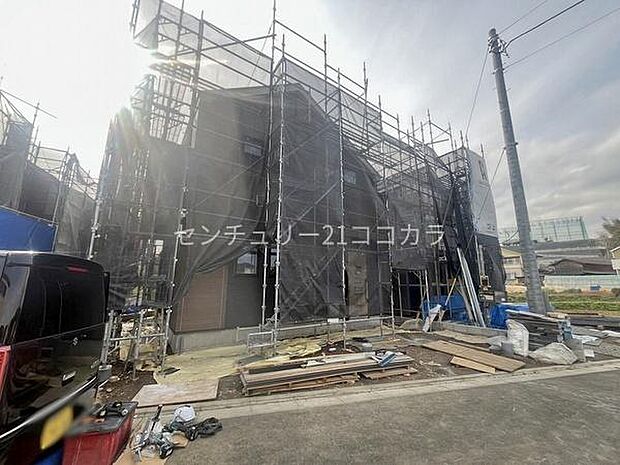 2026年3月30日撮影