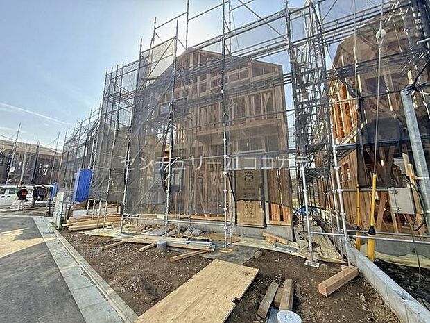 2026年3月9日撮影