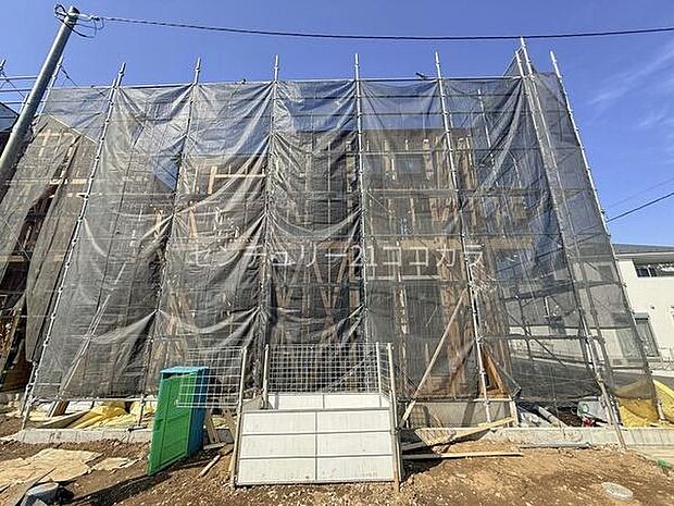 2026年3月9日撮影