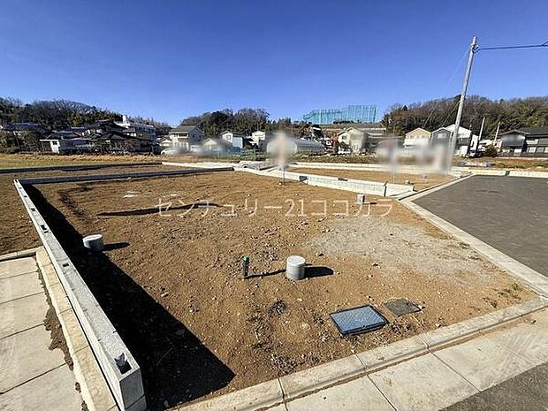 2026年1月12日撮影