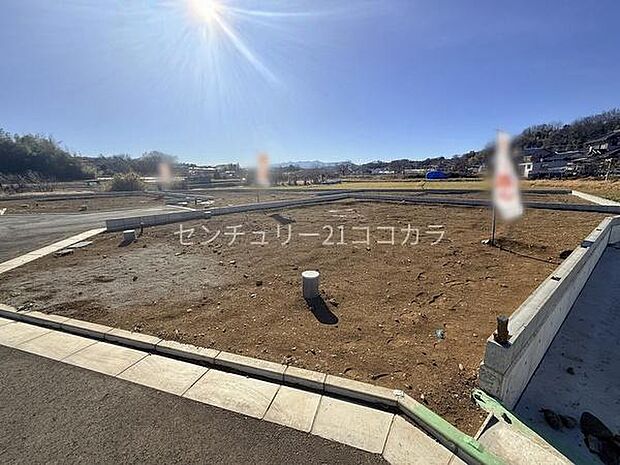 2026年1月12日撮影