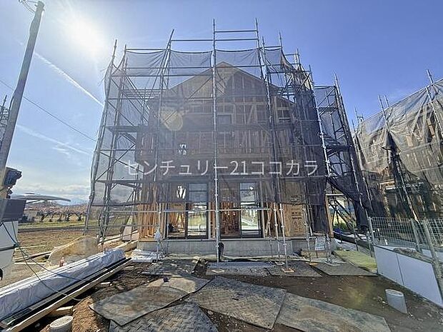 2026年3月9日撮影