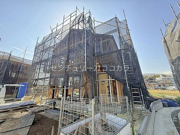 2026年3月9日撮影