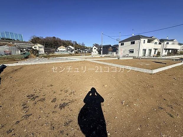 2026年1月12日撮影