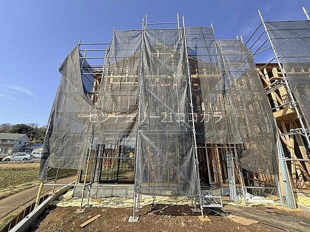 2026年3月9日撮影