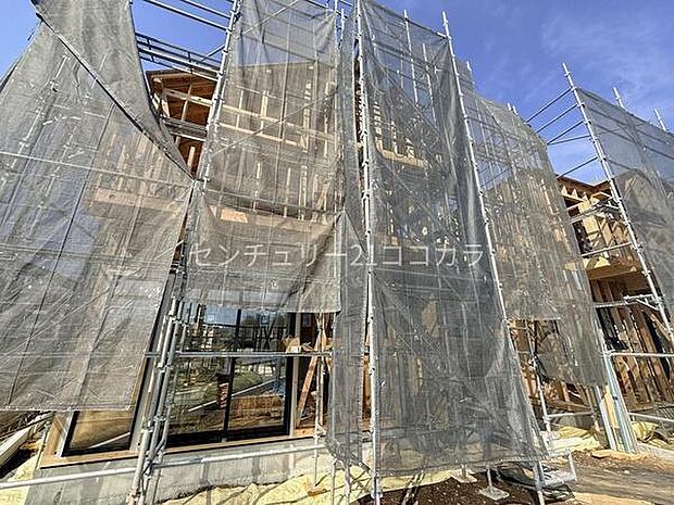 2026年3月9日撮影