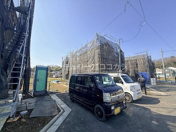 2026年3月9日撮影