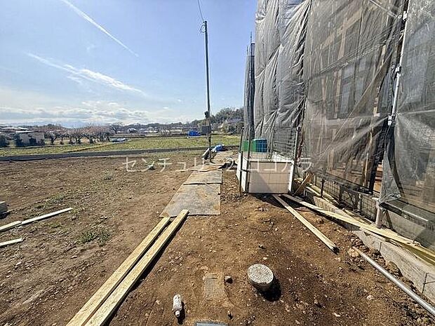 2026年3月9日撮影