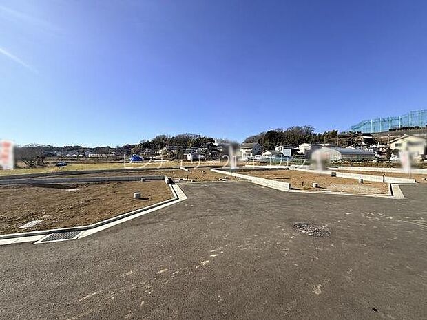 2026年1月12日撮影