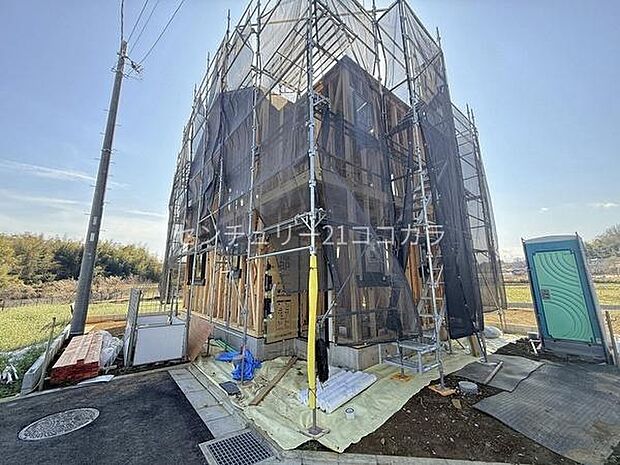 2026年3月9日撮影