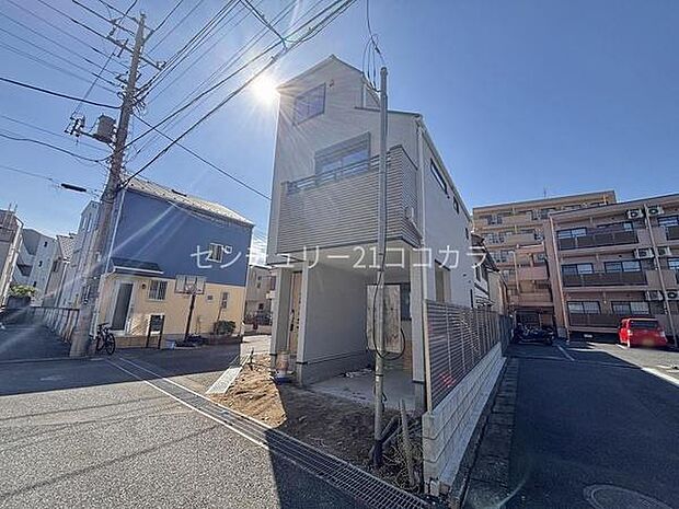 2026年3月12日撮影