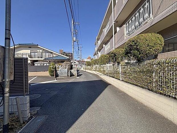 2026年3月12日撮影