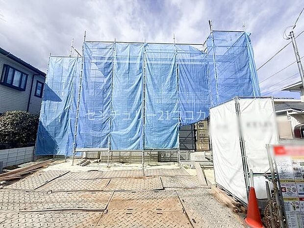 2026年1月25日撮影