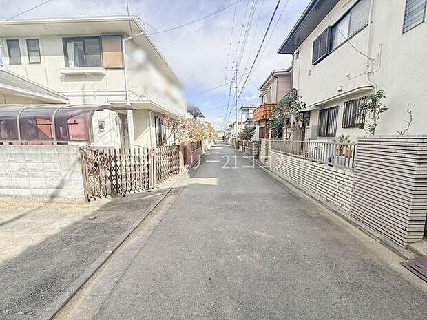 2026年1月25日撮影