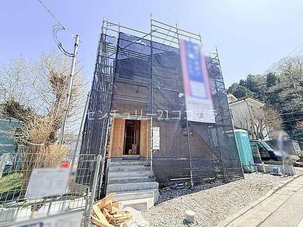 2026年4月3日撮影