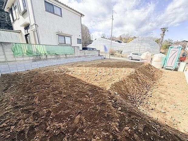 2026年1月25日撮影