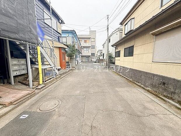 2026年3月13日撮影