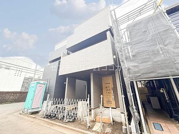 2026年3月13日撮影