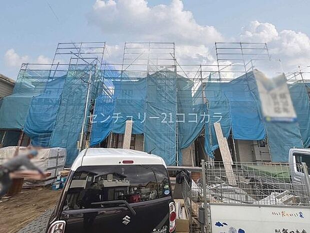 2026年2月2日撮影