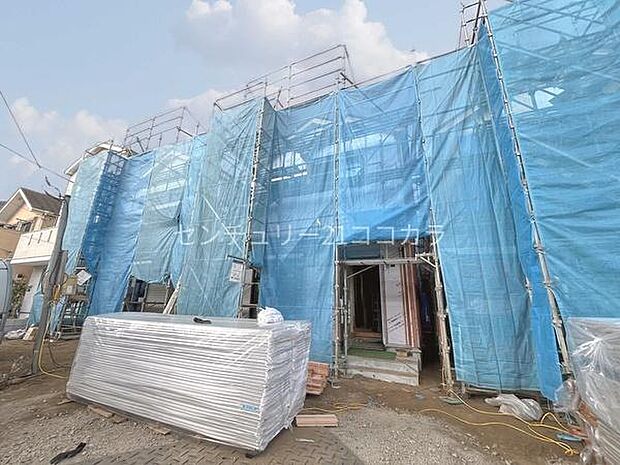 2026年2月2日撮影