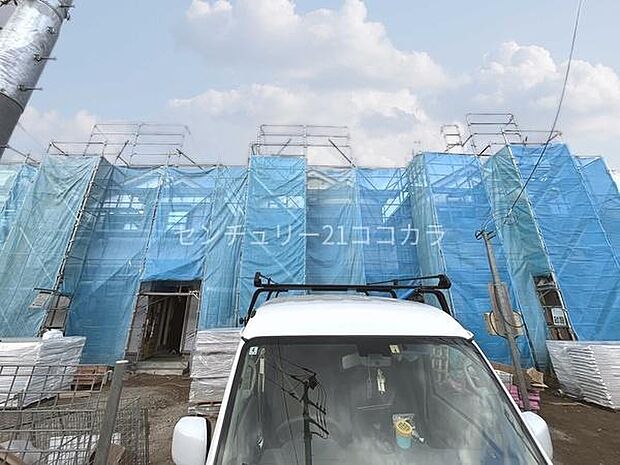 2026年2月2日撮影