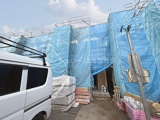 2026年2月2日撮影